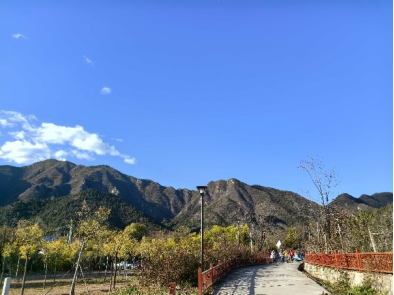 1763530999_62239.png wps7.png